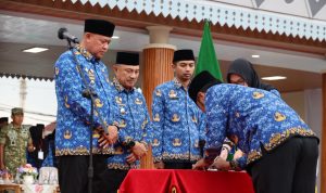 WhatsApp Image 2025-12-31 at 13.18.15